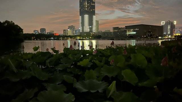 场地相册封面