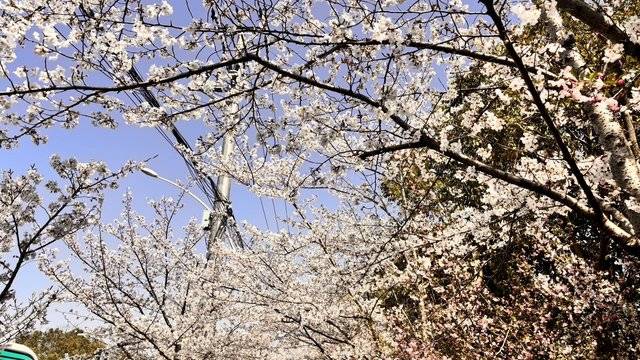 场地相册封面