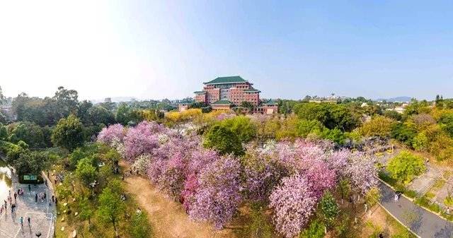 场地相册封面