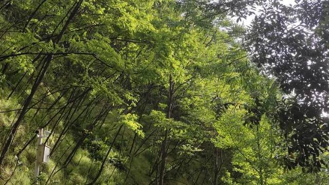 场地相册封面