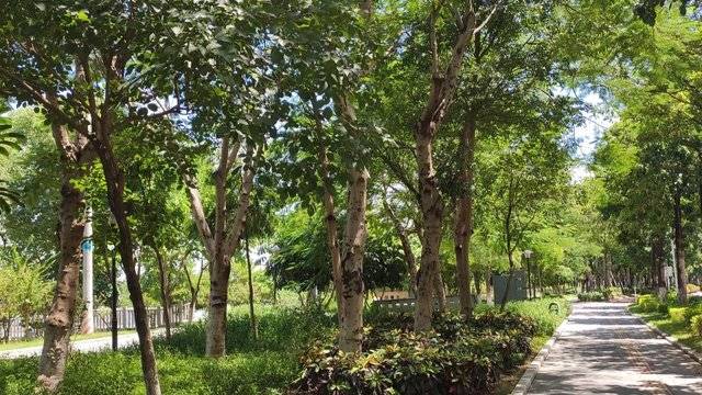 场地相册封面