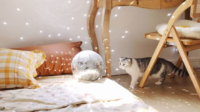 场地相册封面