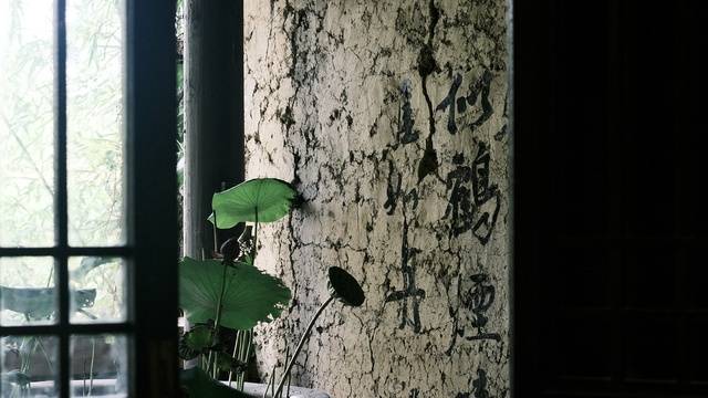 场地相册封面