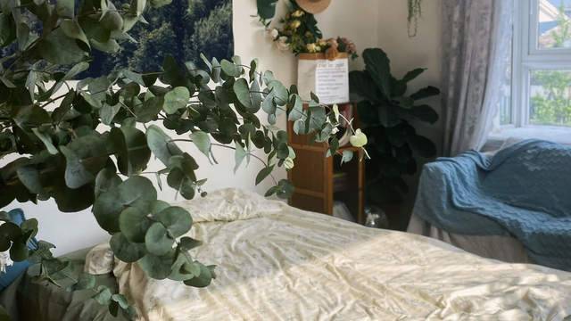 场地相册封面