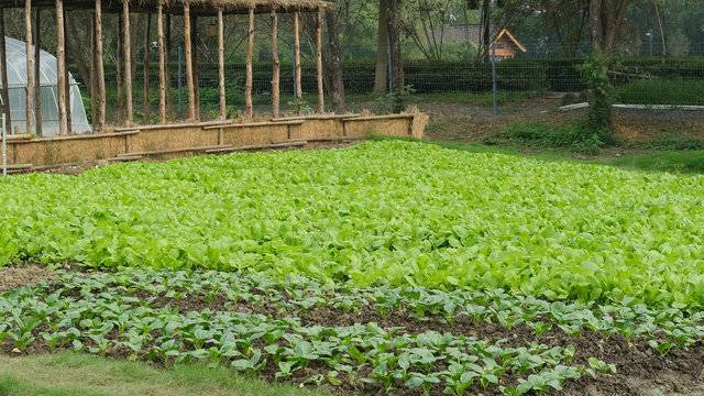 场地相册封面
