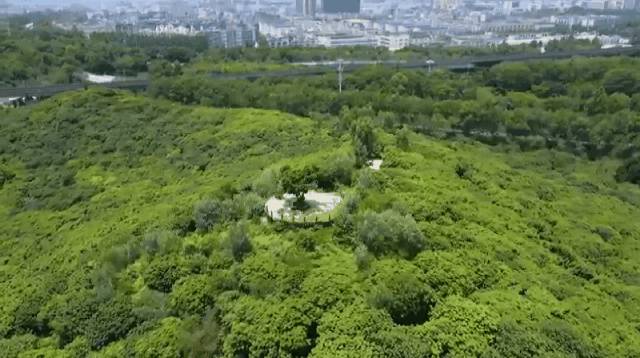 场地封面