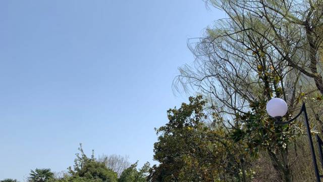 场地封面
