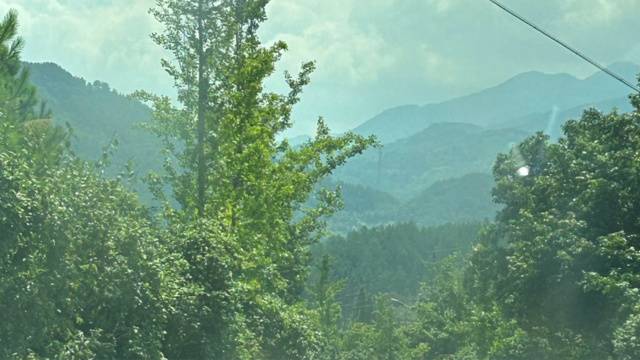 场地封面
