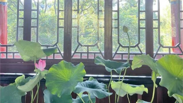 场地封面
