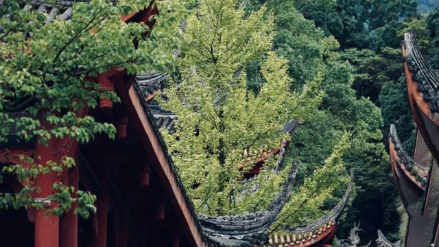 场地封面