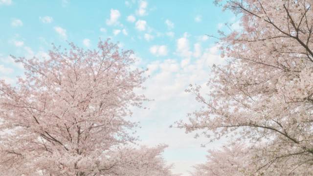 场地封面