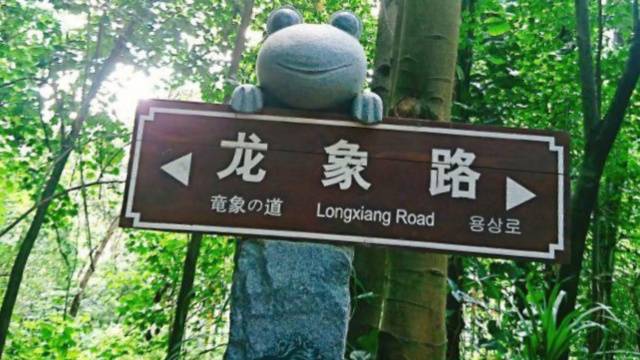 场地封面