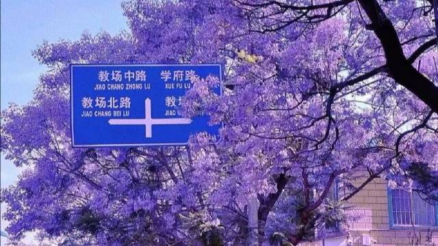 场地封面