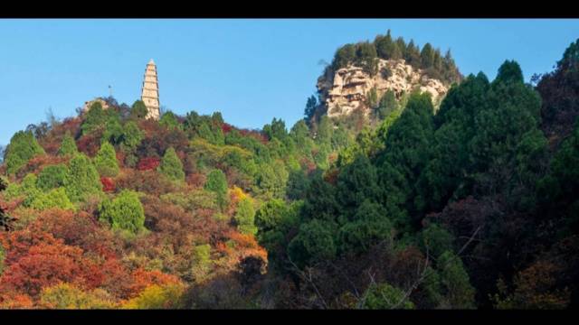 场地封面