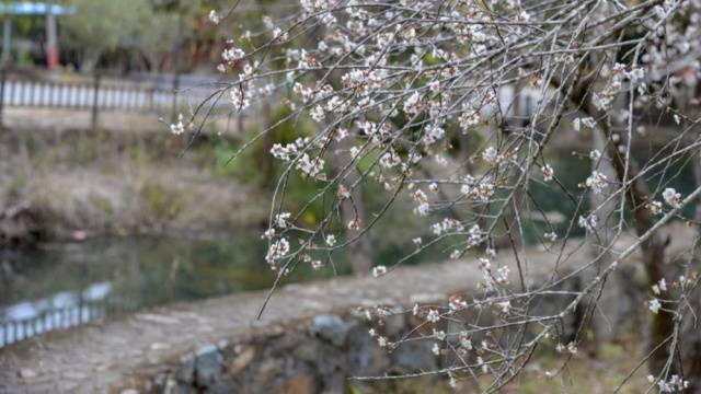 场地封面