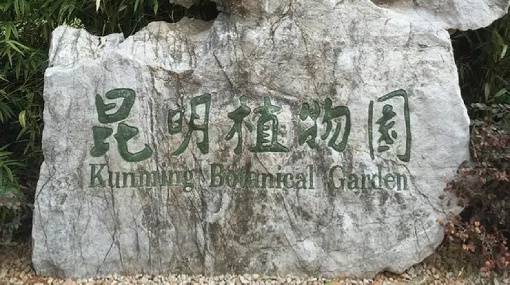 场地封面