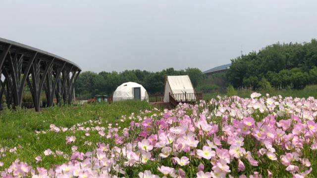 场地封面