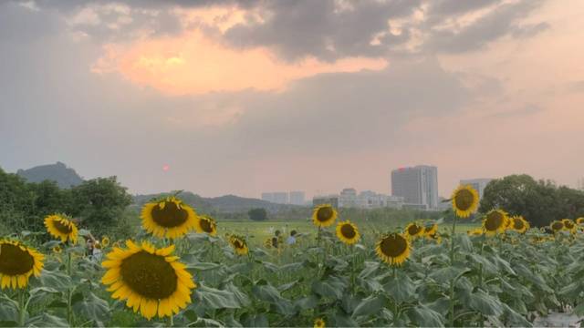 场地封面