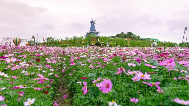 场地封面