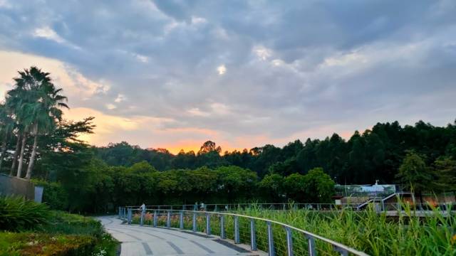 场地封面