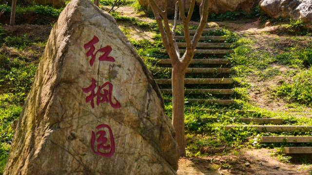 场地封面