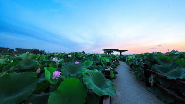 场地封面