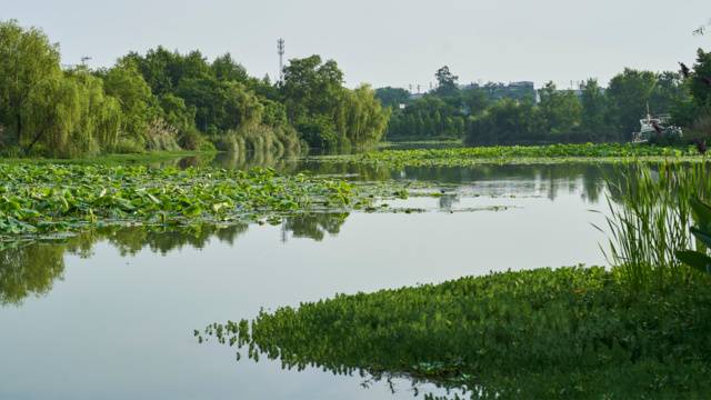 场地封面