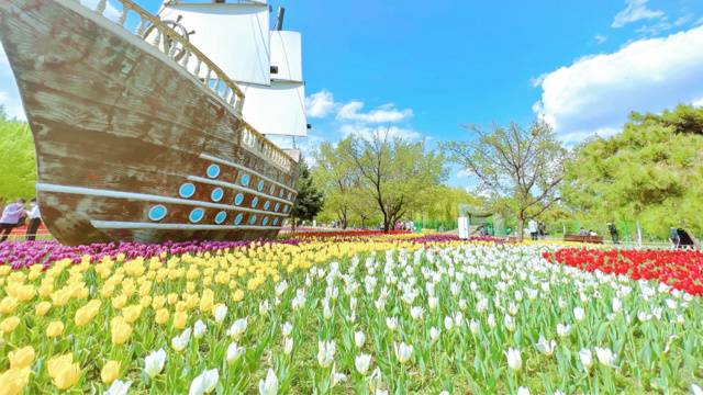 场地封面