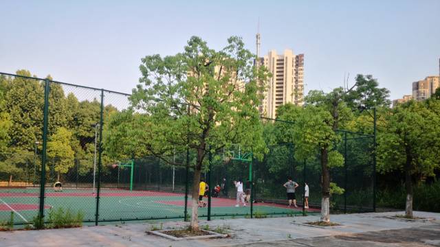 场地封面