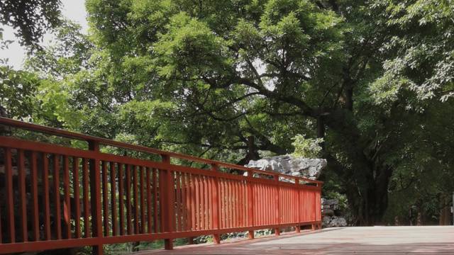 场地封面