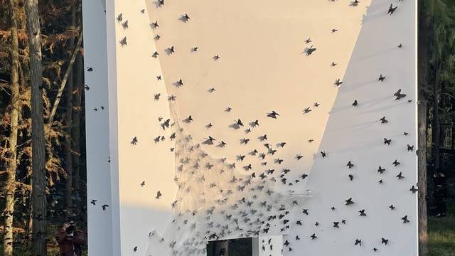 场地相册封面