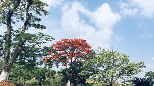 场地相册封面