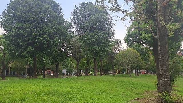 场地相册封面