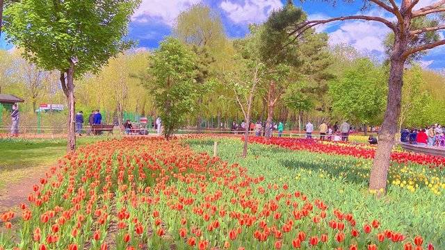 场地相册封面