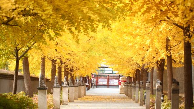 场地相册封面