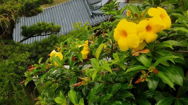 场地相册封面