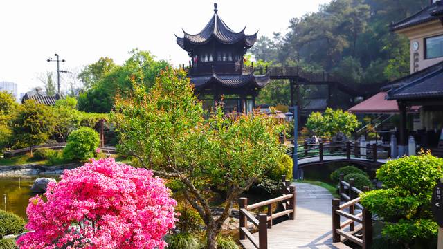 场地相册封面