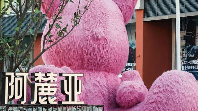 场地相册封面