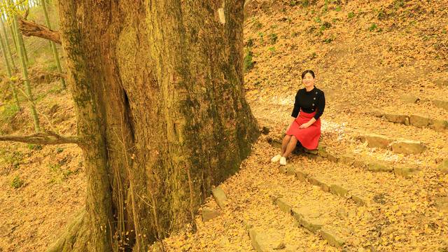 场地相册封面
