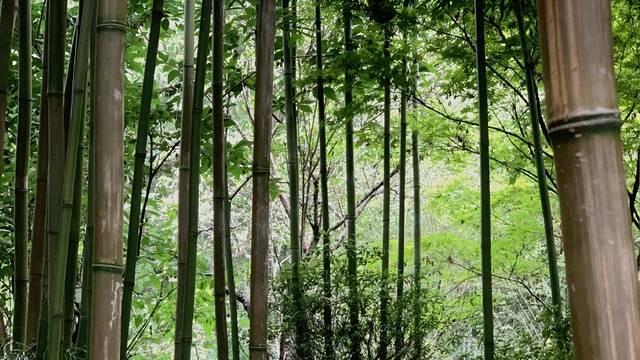 场地相册封面
