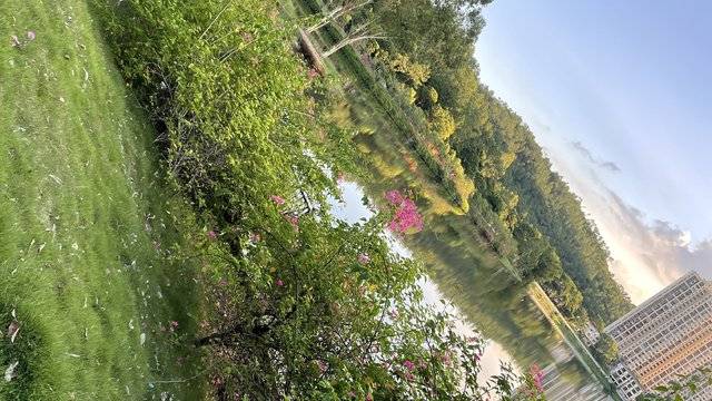 场地相册封面