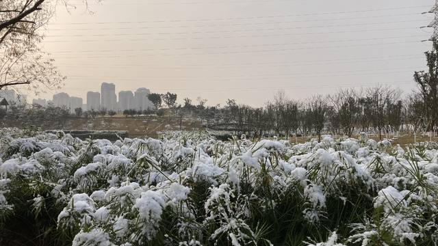 场地相册封面