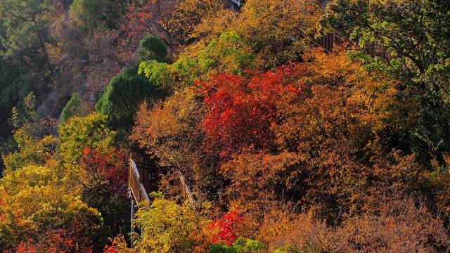 场地相册封面