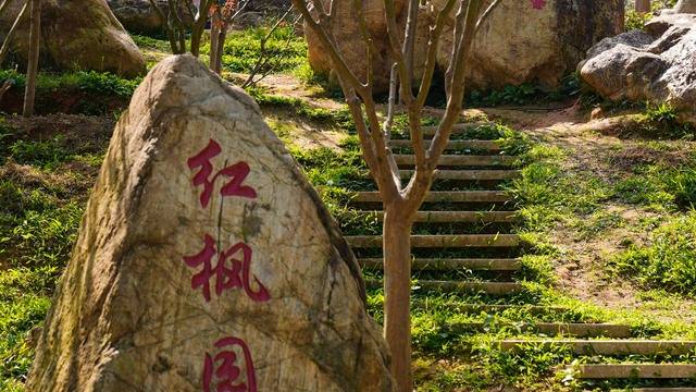 场地相册封面