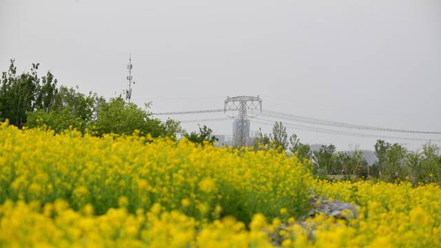 场地相册封面