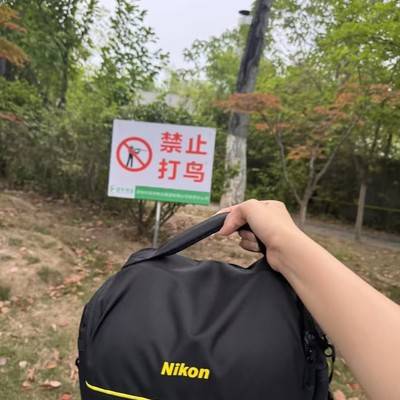 帖子图片