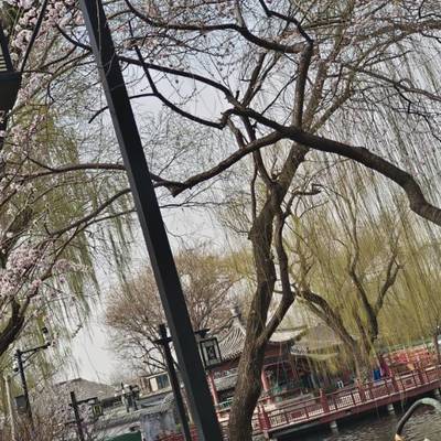 帖子图片