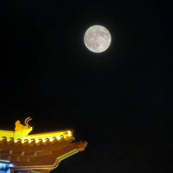 作品图片