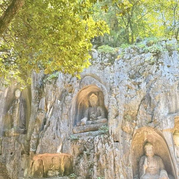 作品图片