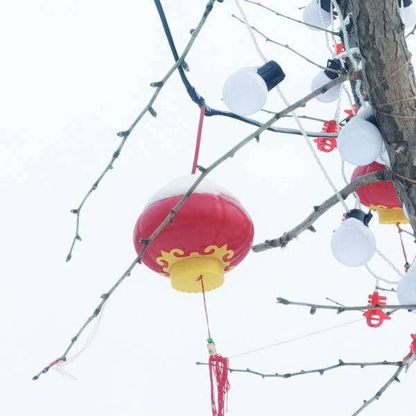 作品图片